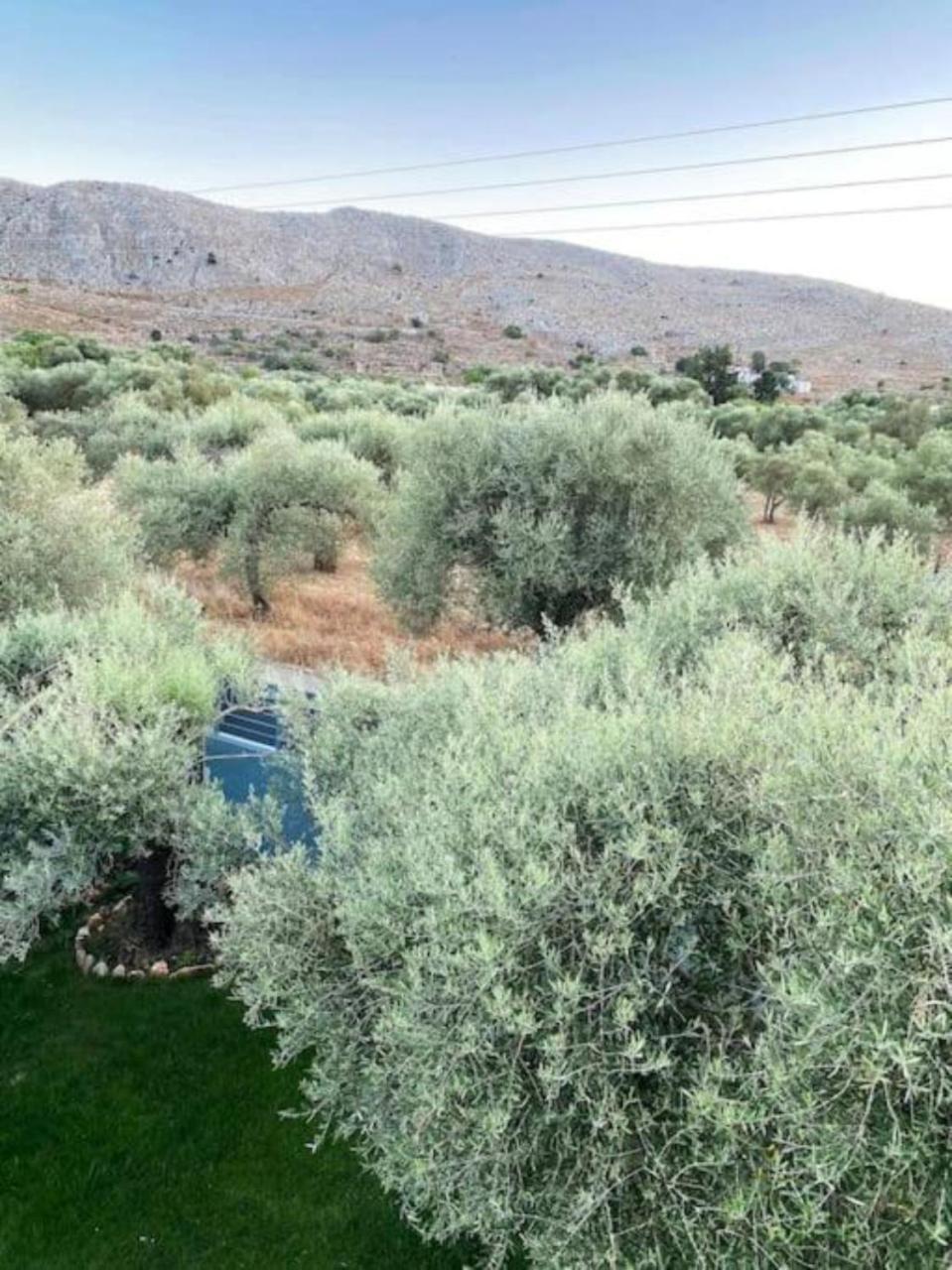 Olives Villa Sinoikismos Kambos Экстерьер фото